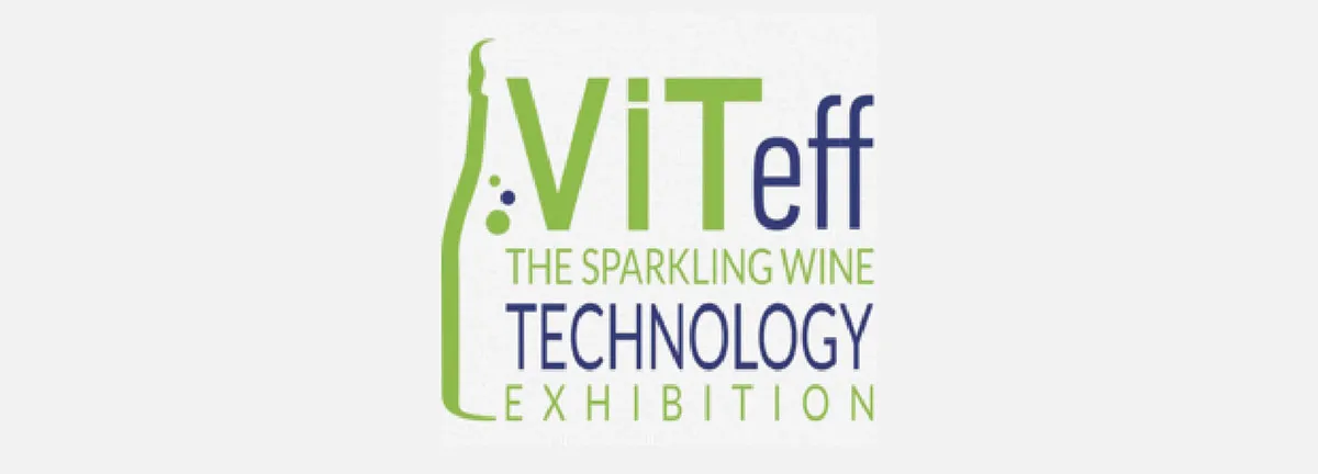 viteff-2019