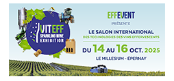 logo Salon VITEFF 2025
